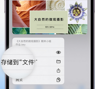 稷山apple维修中心分享iPhone文件应用中存储和找到下载文件