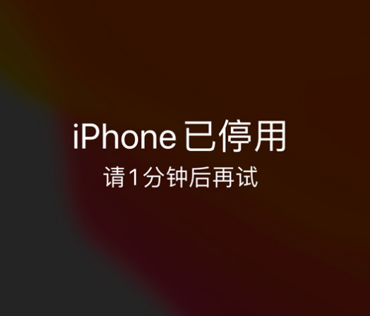 稷山苹果手机维修分享:iPhone 显示“不可用”或“已停用”怎么办？还能保留数据吗？ 