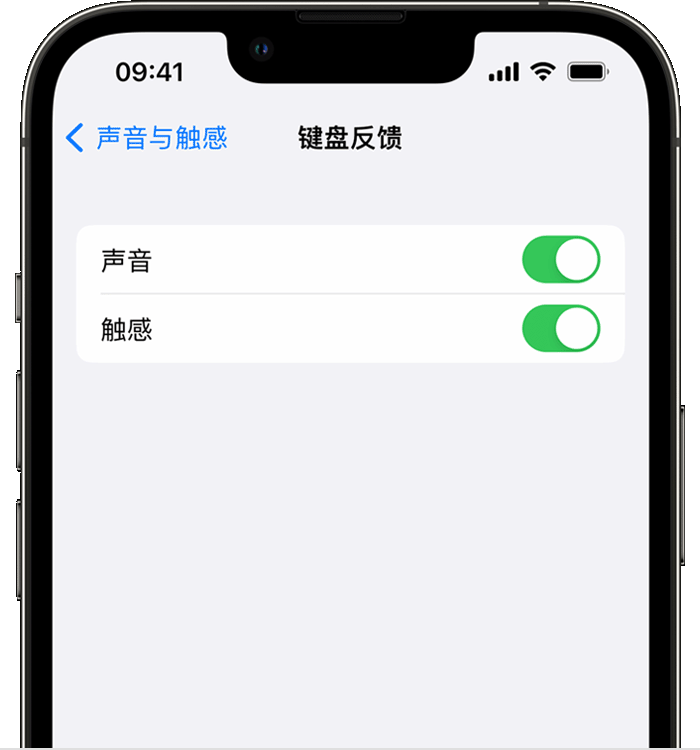 稷山苹果14维修店分享如何在 iPhone 14 机型中使用触感键盘 