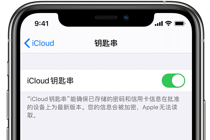 稷山苹果手机维修分享在 iPhone 上开启 iCloud 钥匙串之后会储存哪些信息 