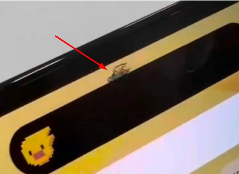 稷山苹果14维修分享iPhone 14 Pro Max灵动岛怎么养宠物 