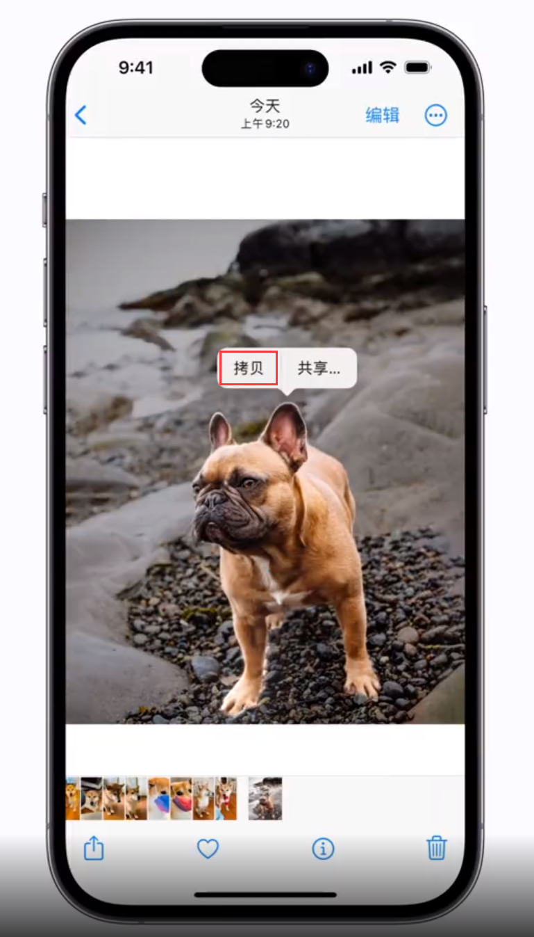 稷山苹果手机维修分享 iOS 16 自带一键抠图功能 
