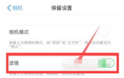 稷山苹果13维修分享iPhone13拍照有绿点是怎么回事 