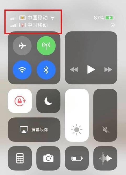 稷山苹果手机维修分享为 iPhone 12 双卡设置标签 